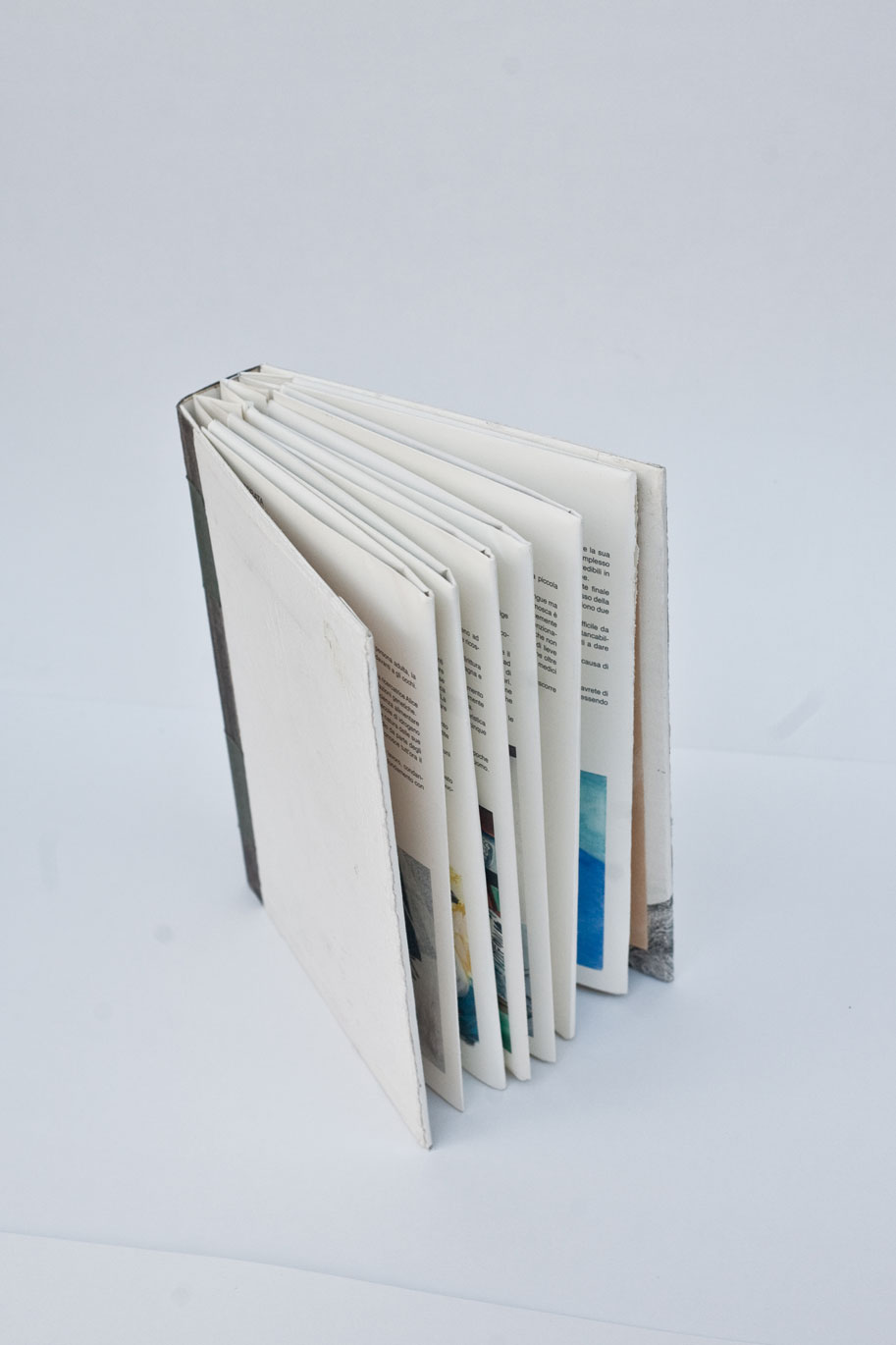 librometamorfosi2