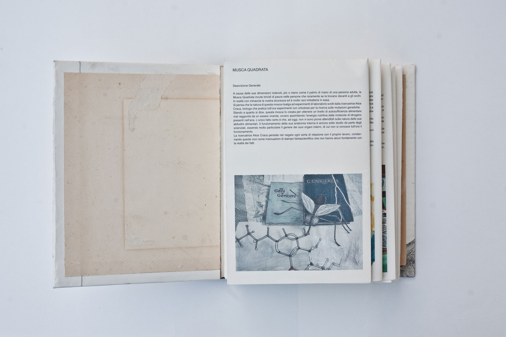 librometamorfosi3