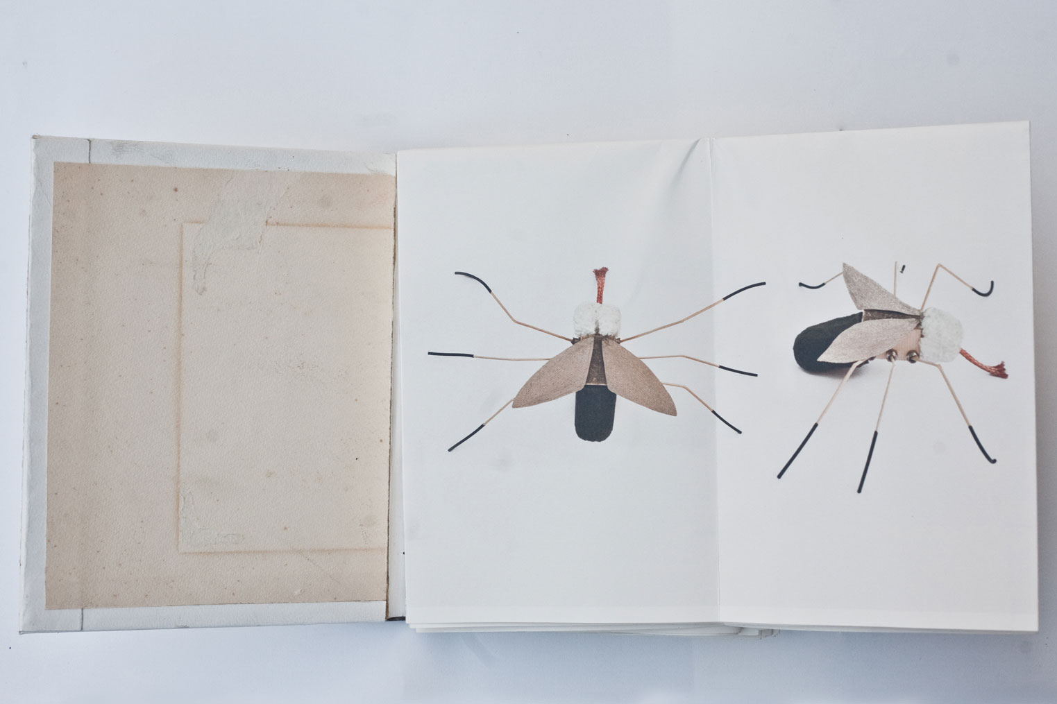 librometamorfosi4
