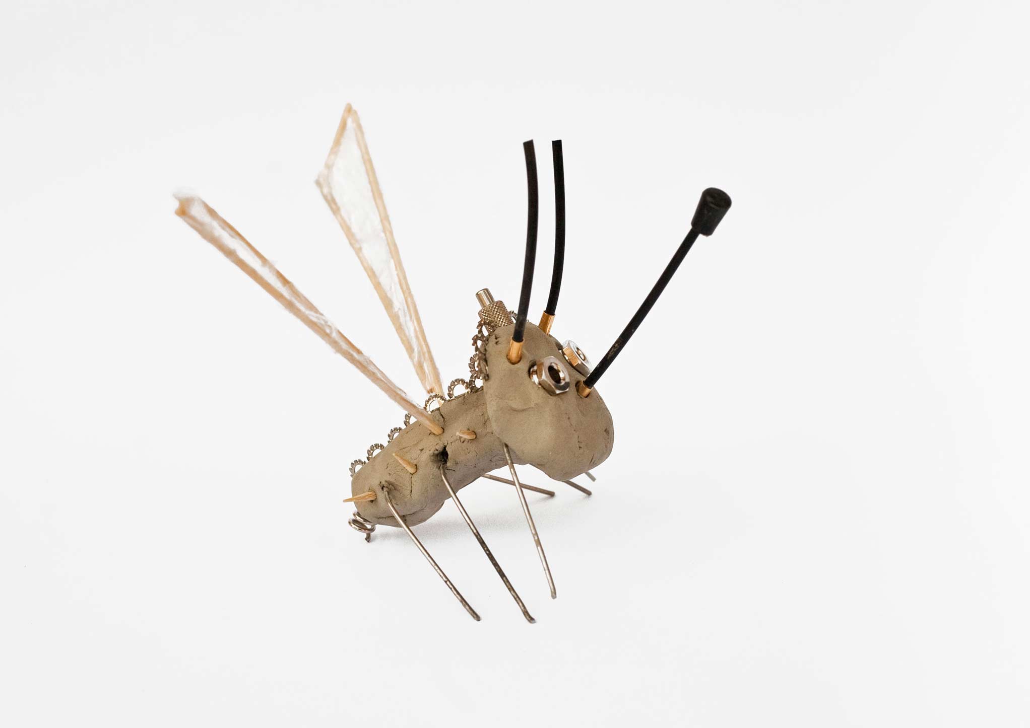 metamorfosi6