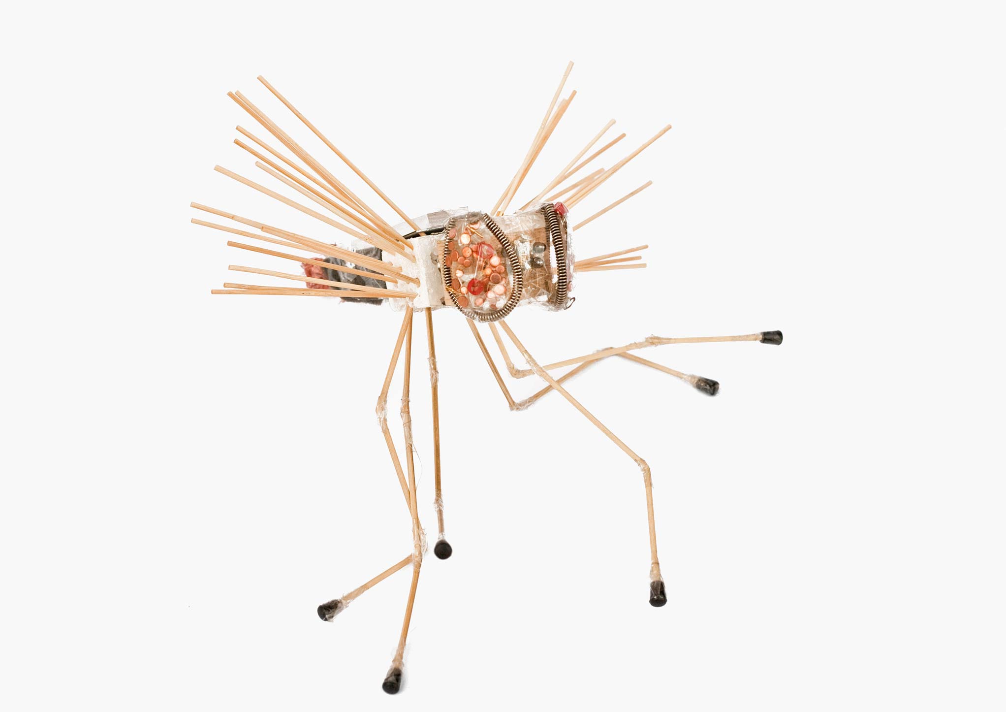 metamorfosi7