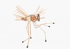 metamorfosi7